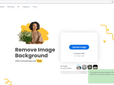 Remove Background from Image for Free – remove.bg